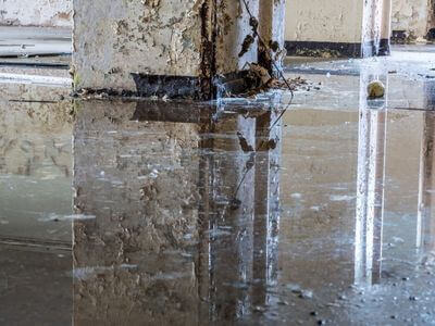 About water damage cleanup - ceiling water damage repair experts in Snohomish